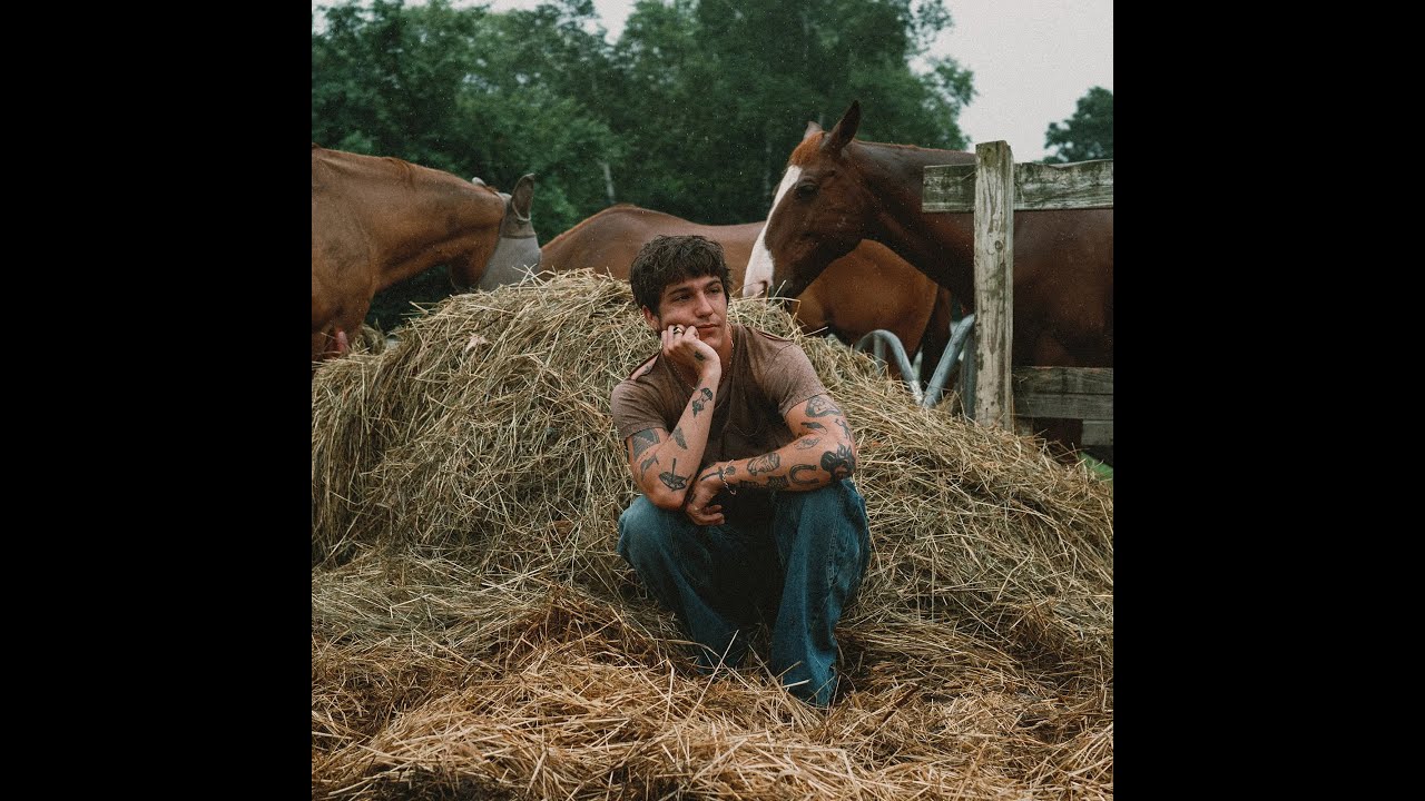 ROLE MODEL x INDIE POP TYPE BEAT - 