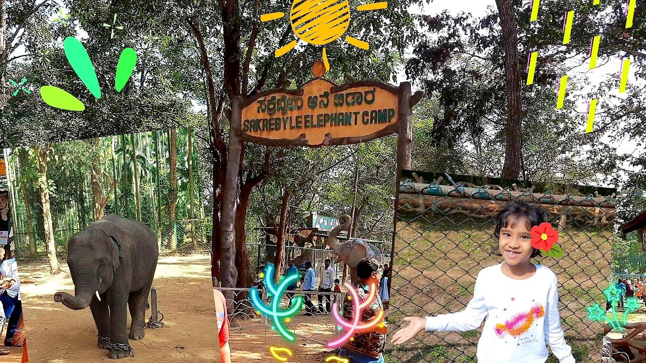 Sakrebailu Elephant camp | Trip for kids