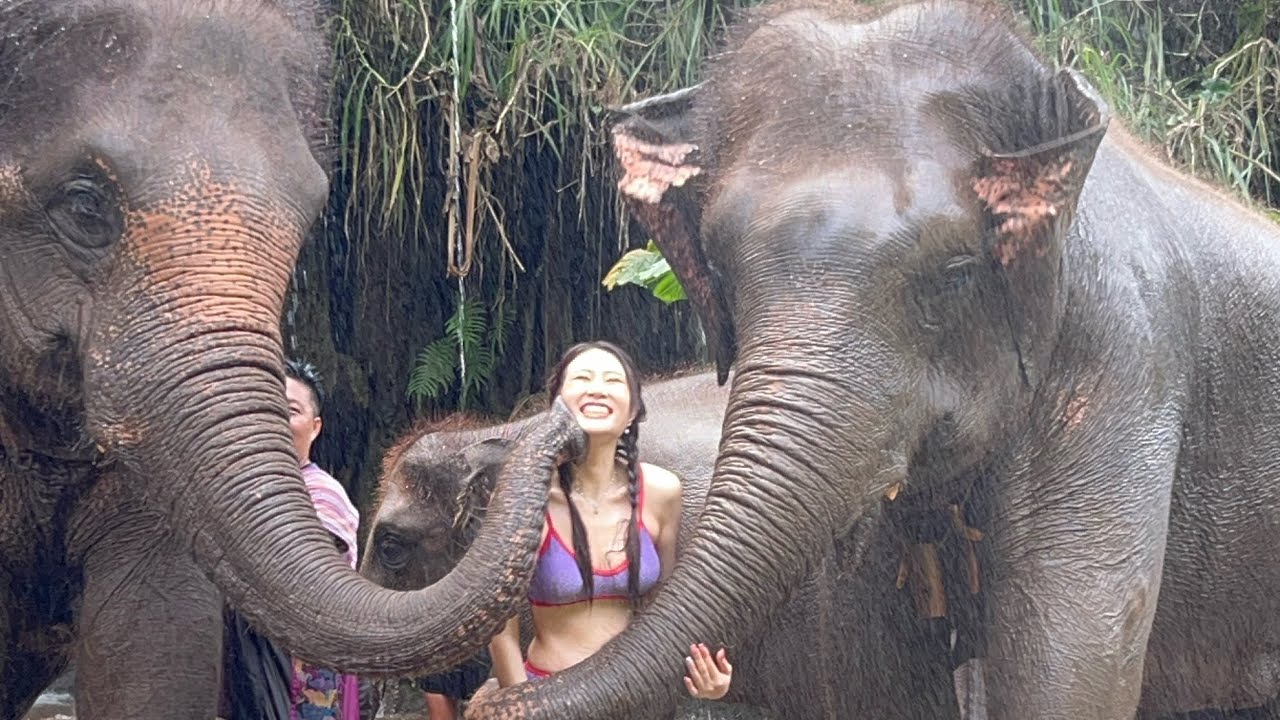 Elephant EcoValley Chiang Mai.มีความสุขที่ได้อยู่กับช้าง สนุกมากค่ะ