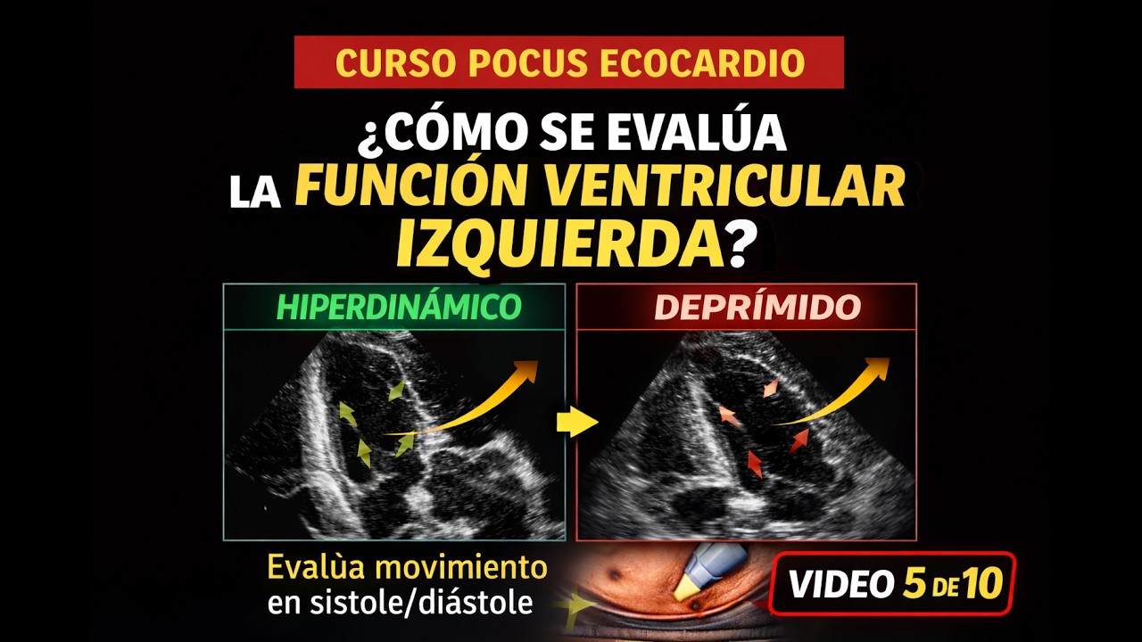 Ecocardiografía 5. Introducción a la Valoración de la Función Sistólica del Ventrículo Izquierdo