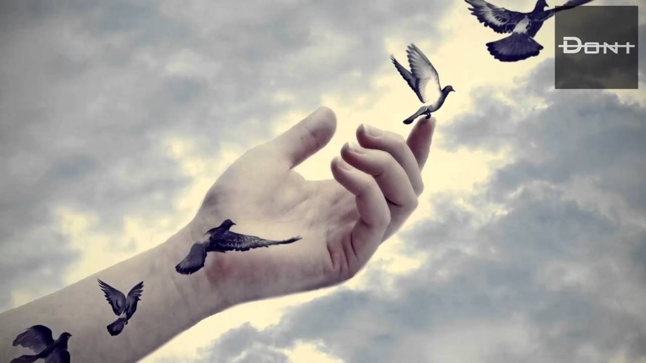 Soku - Captivated [feat. L&eacute;on Rudolf]