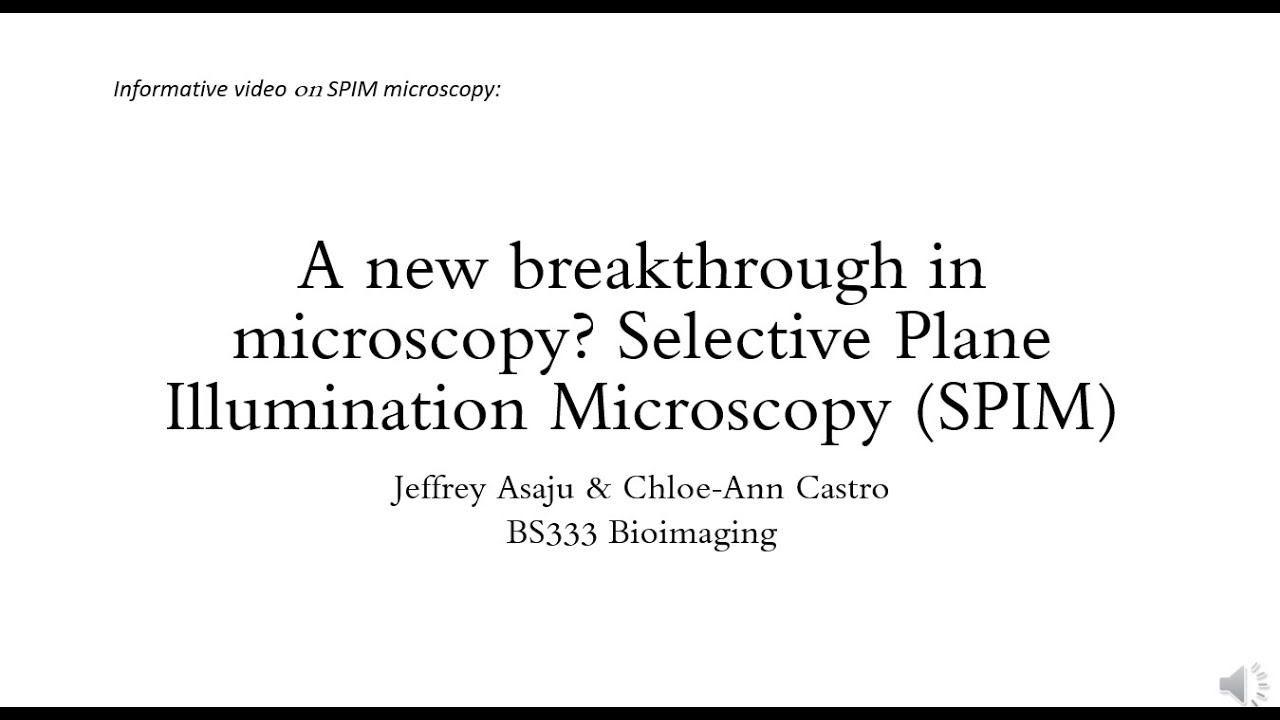 A new breakthrough in microscopy? Selective Plane Illumination Microscopy (SPIM)