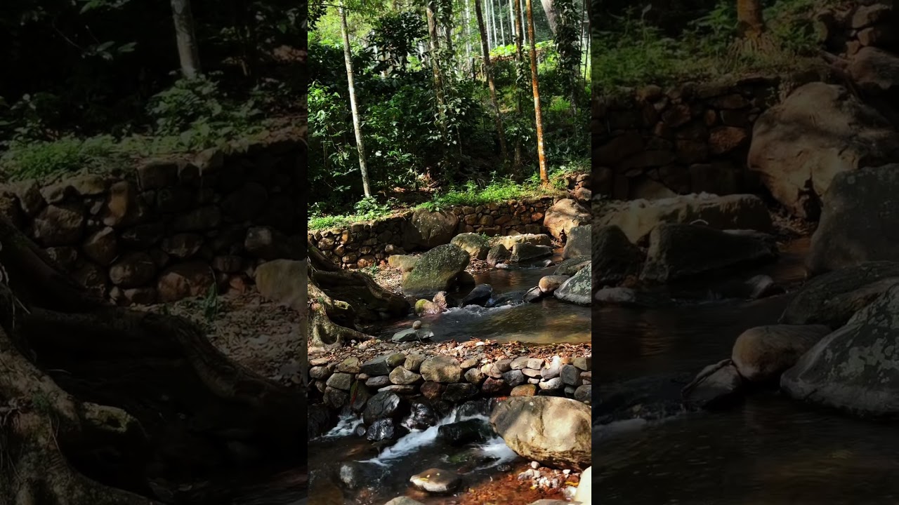 Attapadi #bhavaniriver #attapadi #kerala #palakkad #silentvalley #river