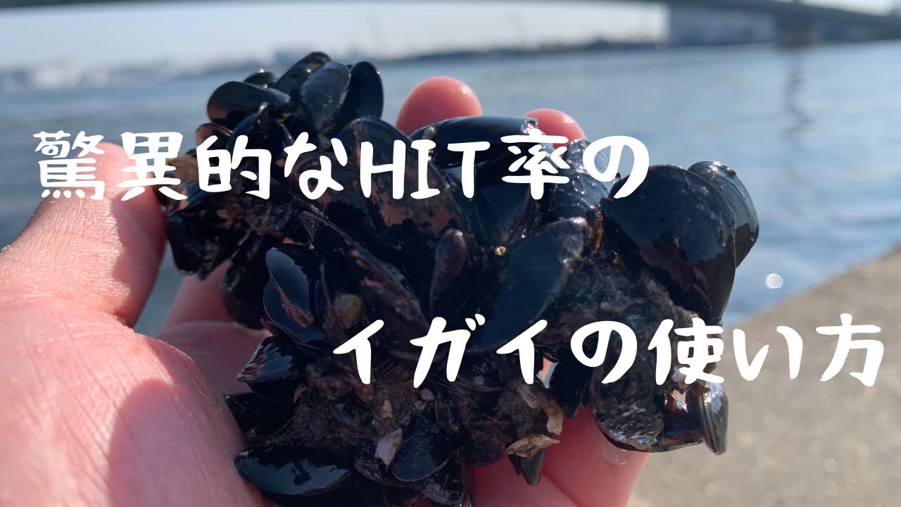チヌが面白いように釣れる！落とし込み釣りスライダー釣法を解説します！！【大阪湾】【クロダイ】