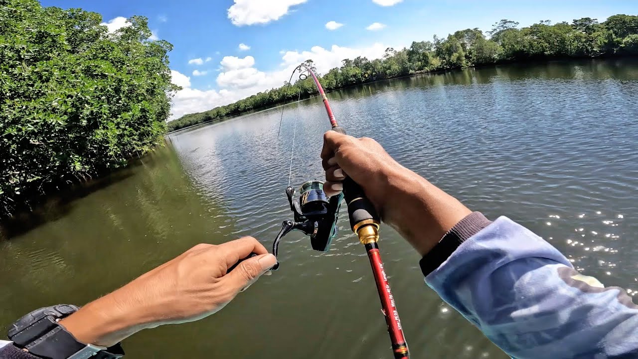 MANCING TROLLING
