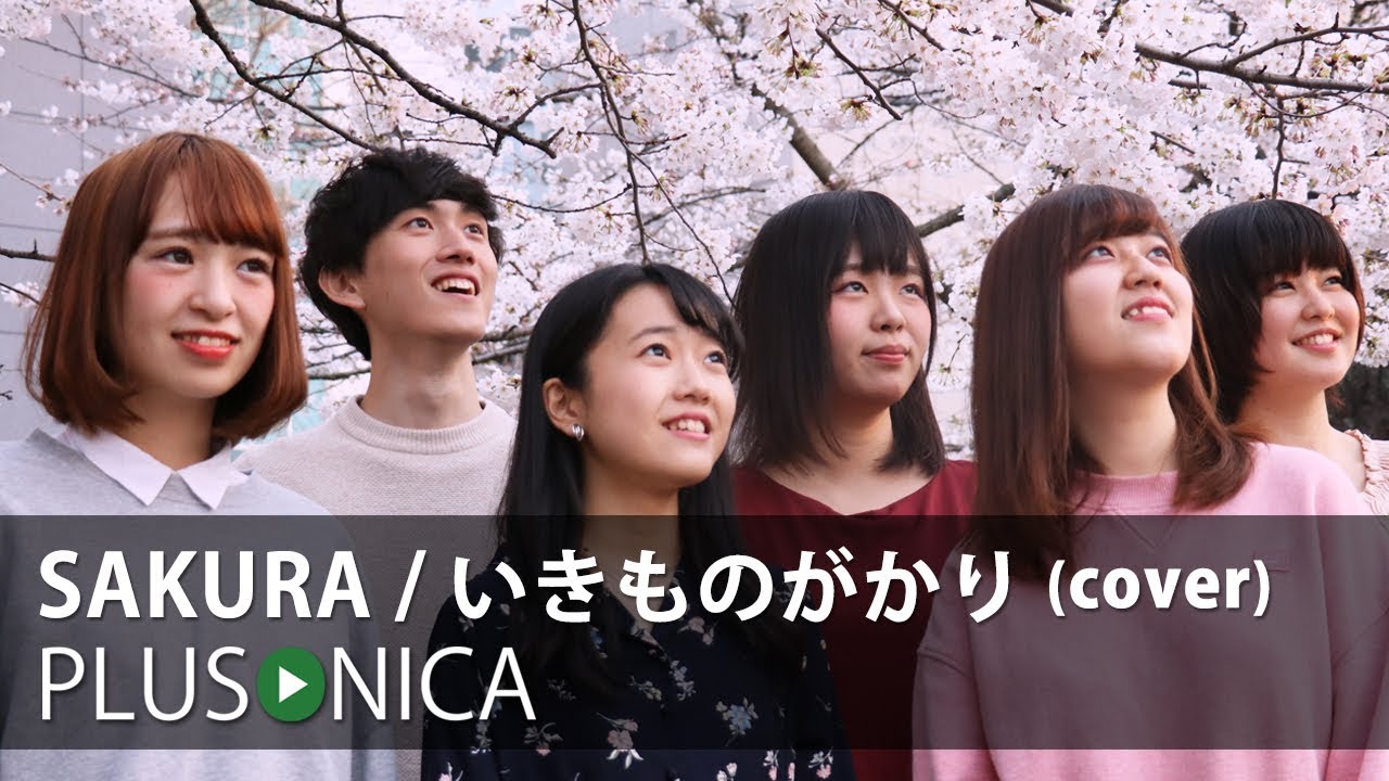 SAKURA / いきものがかり (cover)