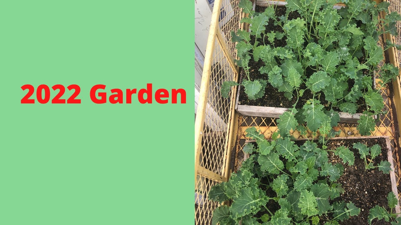 Getting our 2022 garden started
