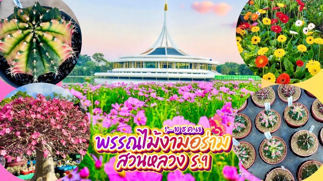 Tour งานพรรณไม้งาม อร่ามสวนหลวง ร.9  2568 | Suanluang Rama IX Plant Fair 1-10 Dec 2025 | JdaySpring