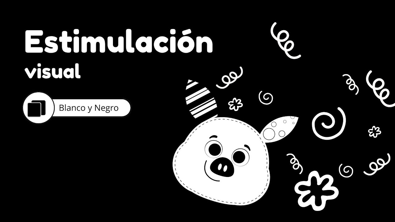 Estimulaci&oacute;n temprana para beb&eacute;s de 0 a 3 meses - high contrast video