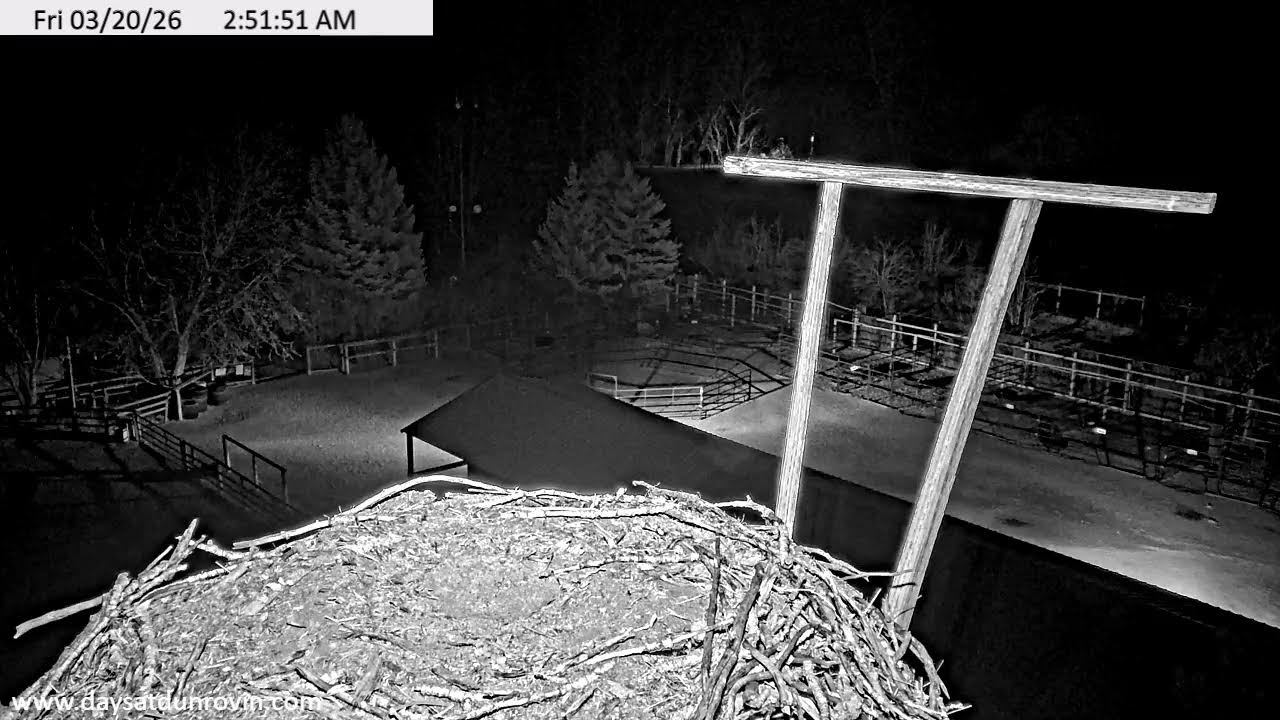 Dunrovin Nest Cam