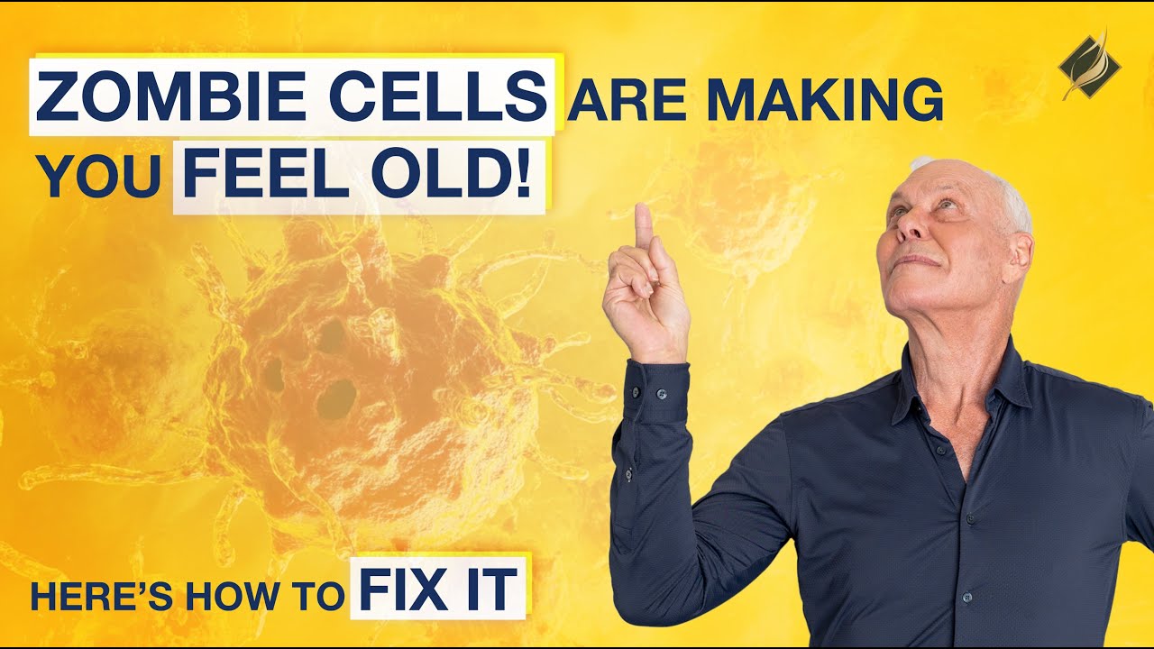 Senescent Cells: Your Body's Secret Aging Switch