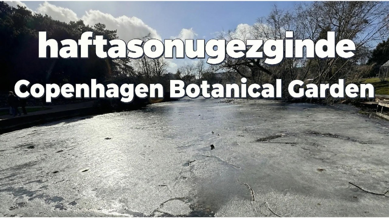 Copenhagen Botanical Garden🌿Kopenhag’ın Gizli Cenneti Botanik Bahçesi Bir Gün Doğa Keşfi🌿