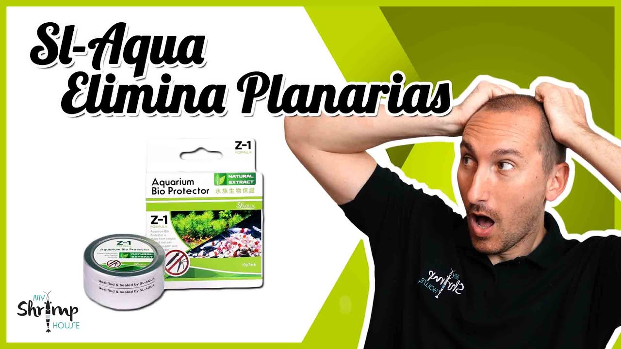 ¡Eliminar Planarias en tu Acuario!