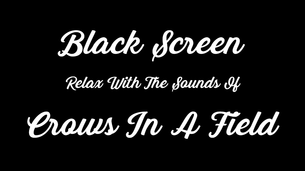 Black Screen Nature Sounds: Crows In A Distant Field 1 Hour