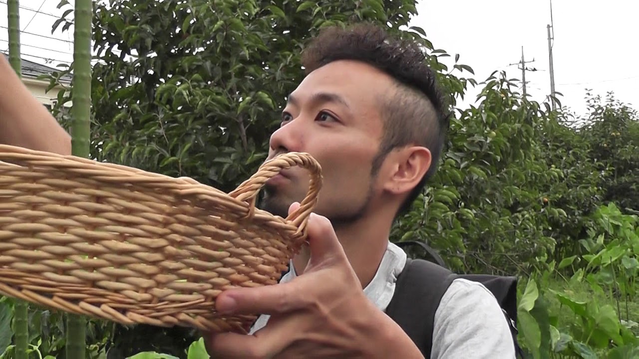 狛江ホッププロジェクト①「農家の畑で鈴なり収穫」