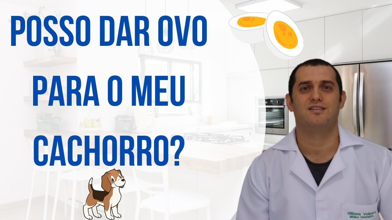Posso dar ovo para cachorro ? 🥚🐕