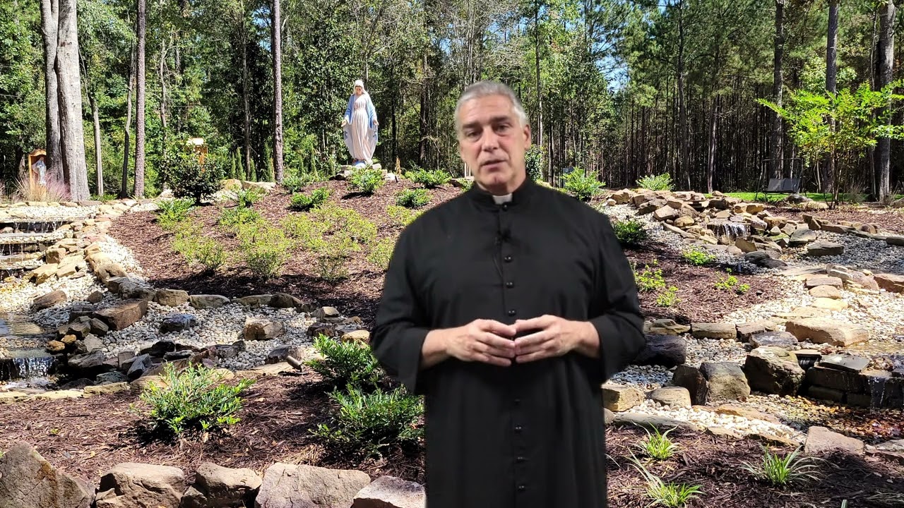 Catechism 101 with Father Mark Beard - The Mass Part 7: Consecration & The Last Supper