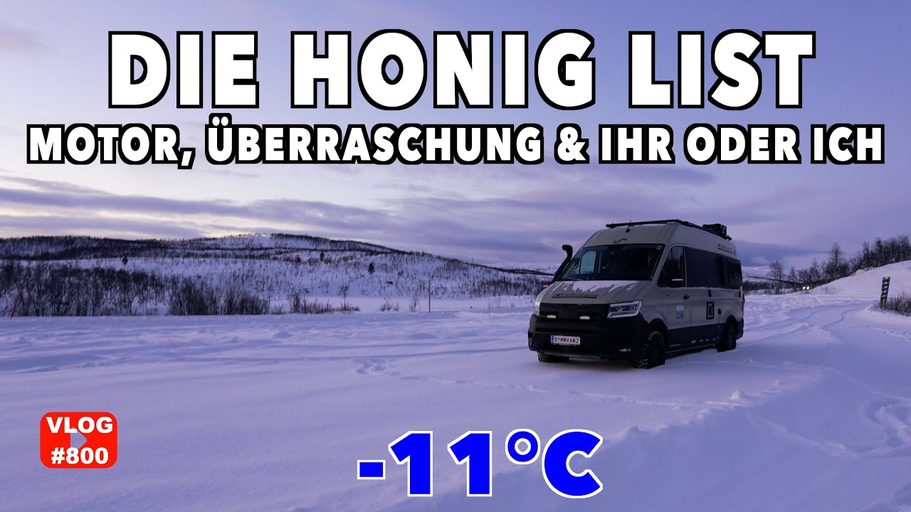 #800 Ups, was find ich denn da😳| Die Honig List! Minus 11&deg;C | Verschneites Hochland, Norwegen