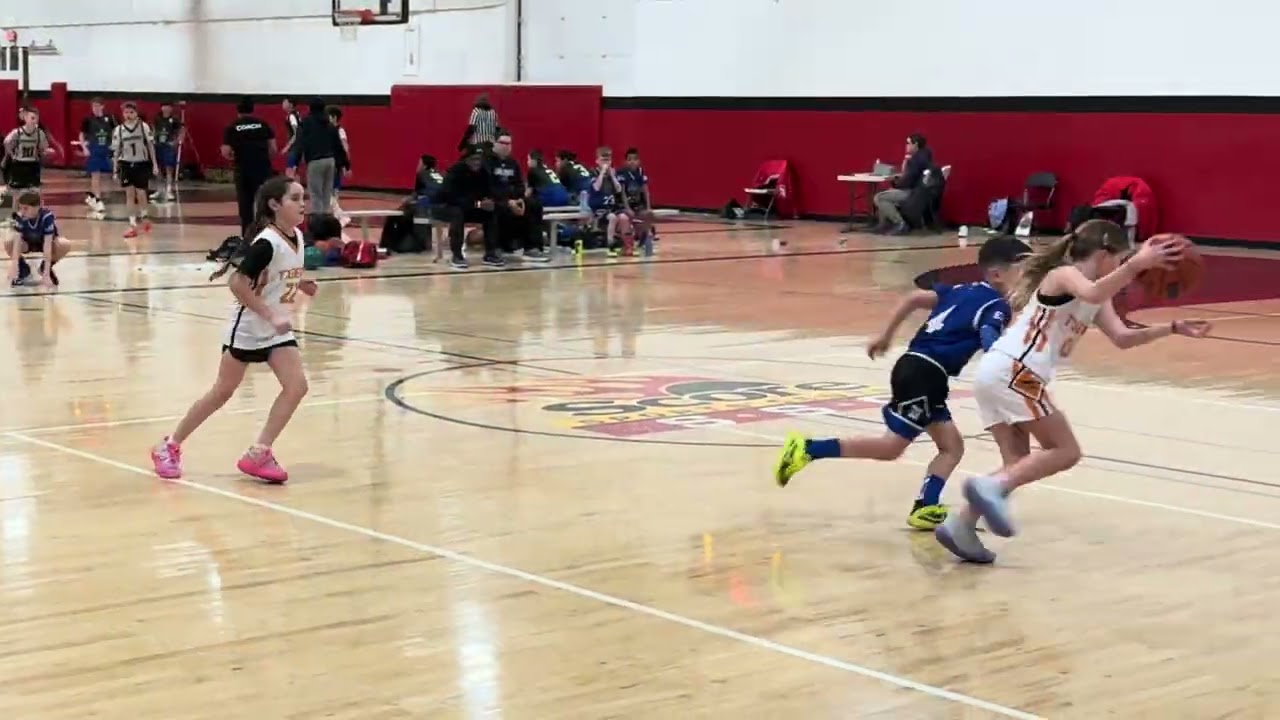 (Highlights) RB Jr Bulldogs vs Illinois Tigers - 2/1/26