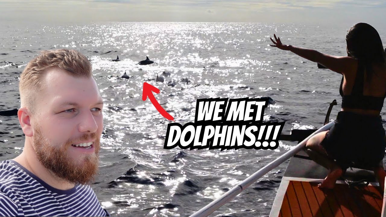 Our first ever guests and dolphins showed up in front of our boat 🤯! SUCCESS!!!/ The Crowns Vlog