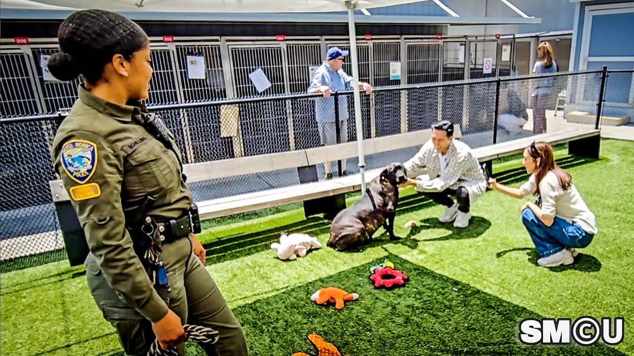 𝗙𝗨𝗥-𝗘𝗩𝗘𝗥 𝗛𝗢𝗠𝗘𝗦: Santa Monica Shelter Throws a Paw-ty for Adoptions and Support