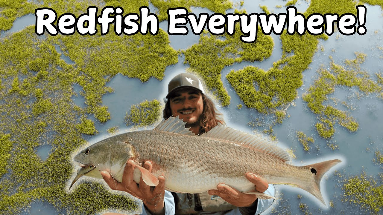 Wade/Kayak Fishing for Redfish and Speckled Trout on Crystal Clear Chesapeake Bay Grass Flats.