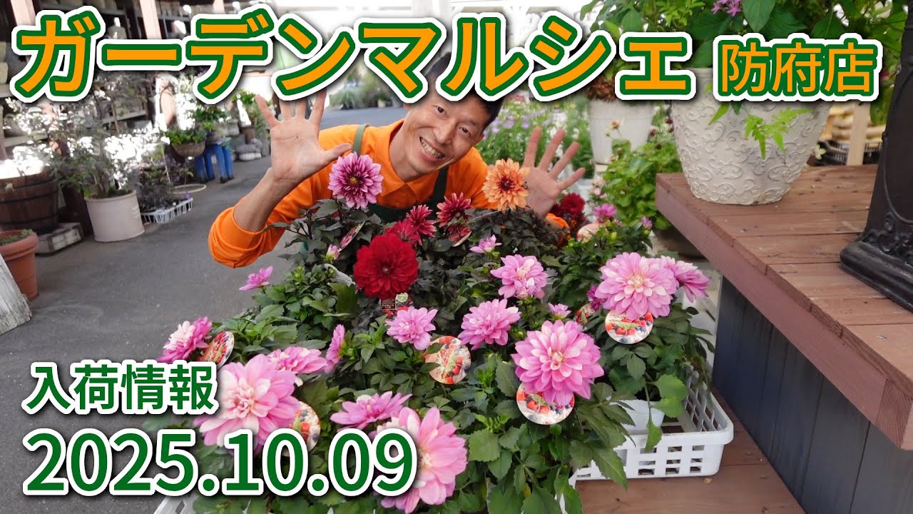 2025年10月9日 ガーデンマルシェ防府店 今週の入荷情報