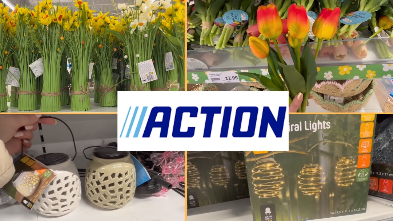 Przegląd półek w Action/Tulipany jak żywe 🌷Oferta do ogrodu