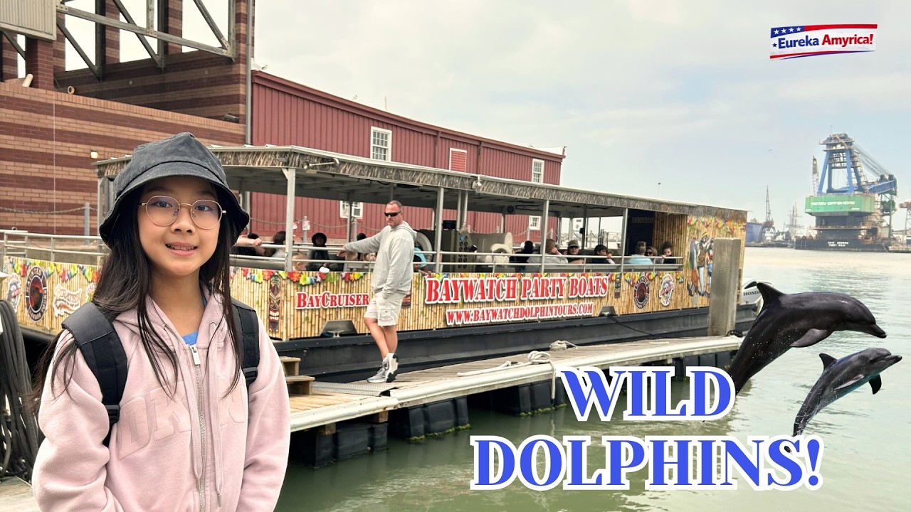 Wild Dolphins in Galveston Bay 🐬 | Baywatch Dolphin Tour Adventure