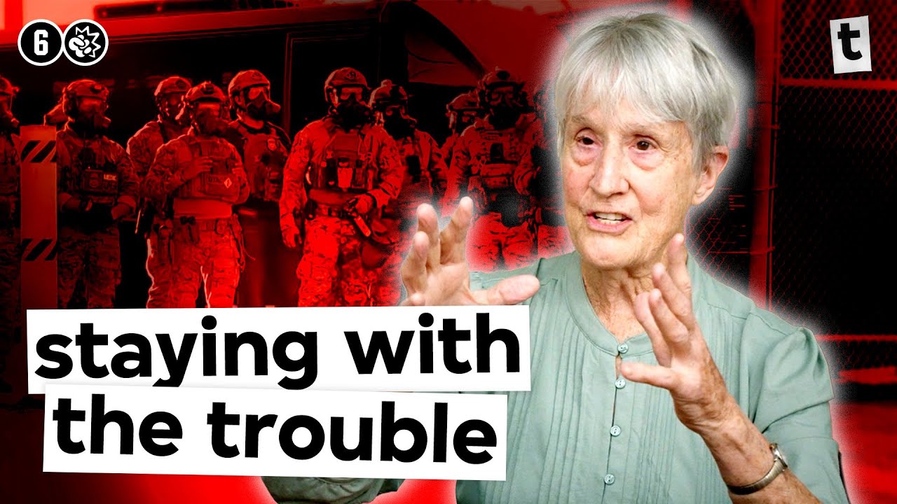 Door problemen op te zoeken forceren we vooruitgang | Donna Haraway