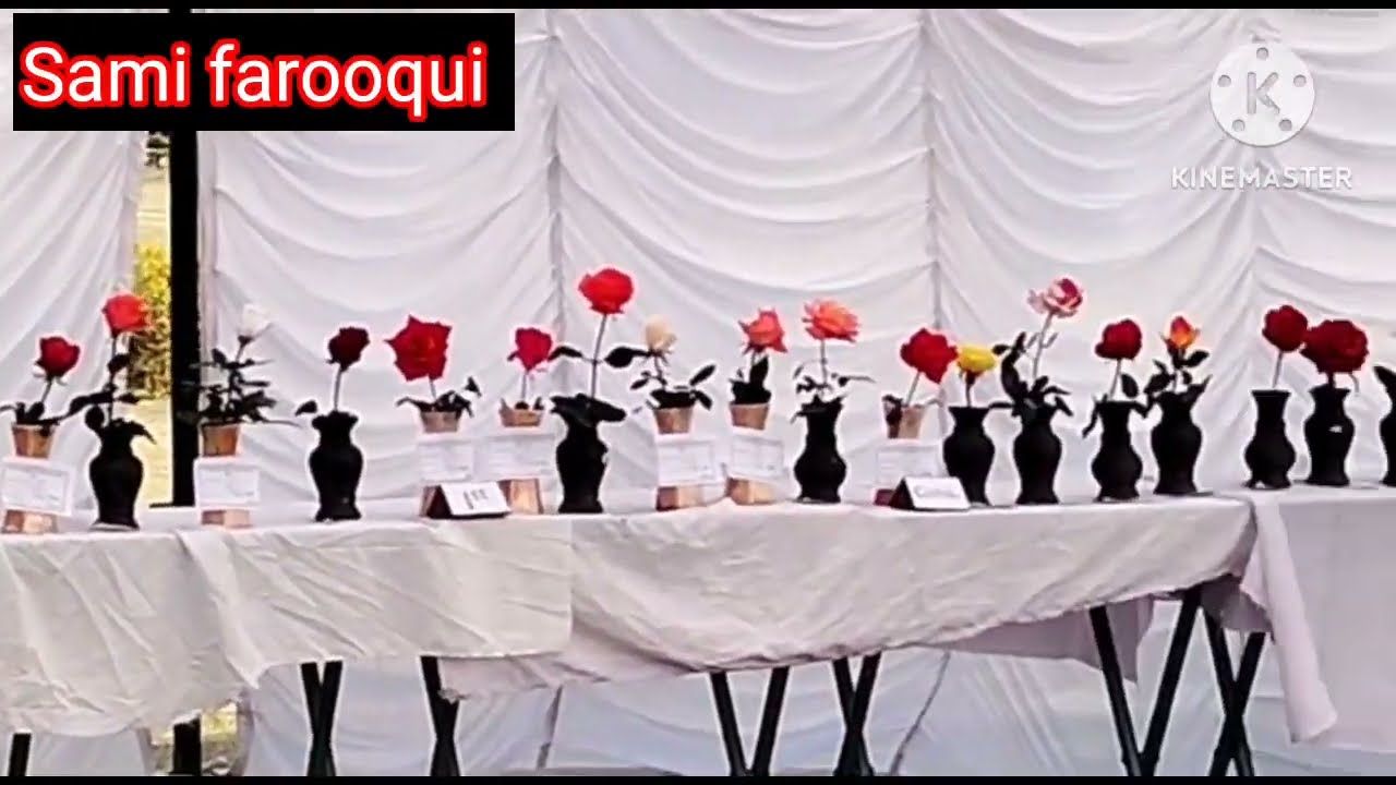 Amu Flower Show 2022 | Gulastane sayyed Flower Exibition Amu | Annual Flower Show 2022 by Amu