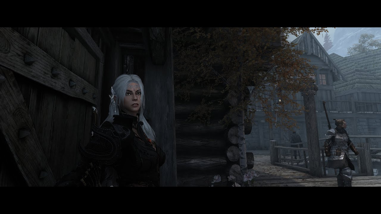 Heavily modded Skyrim . Wabbajack avialable