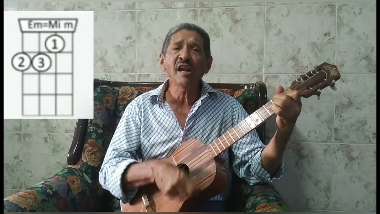Cómo  tocar la canción  Amalia  Rosa
