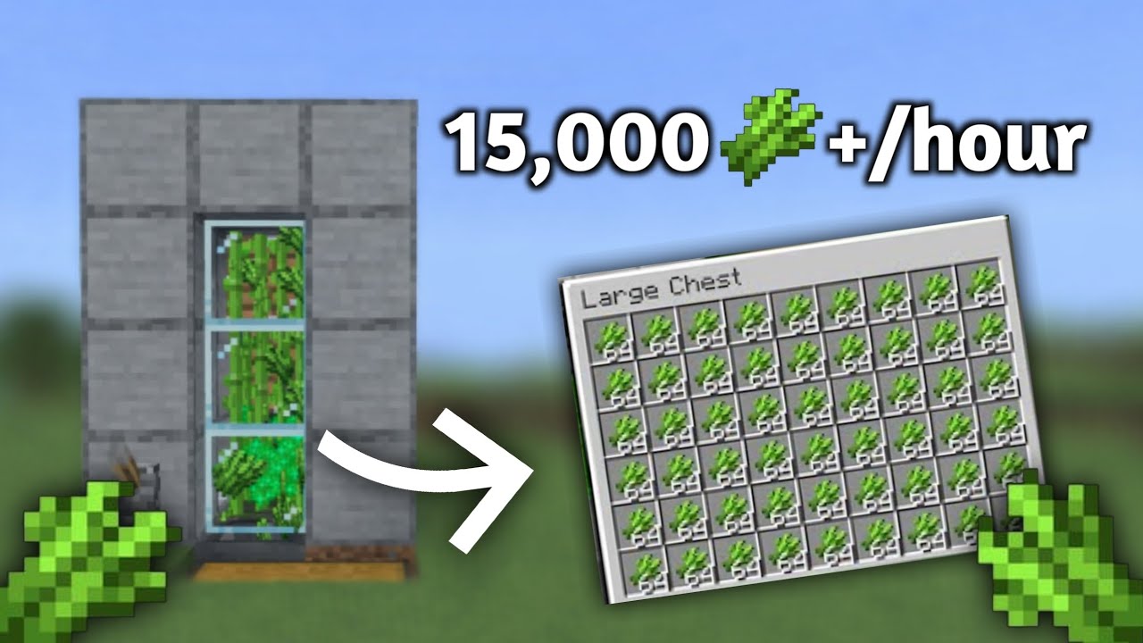 Minecraft Bedrock: EASY BEST Sugarcane Farm Tutorial in 1.21! (MCPE/X-BOX/PC/Nintendo Switch/PS5)