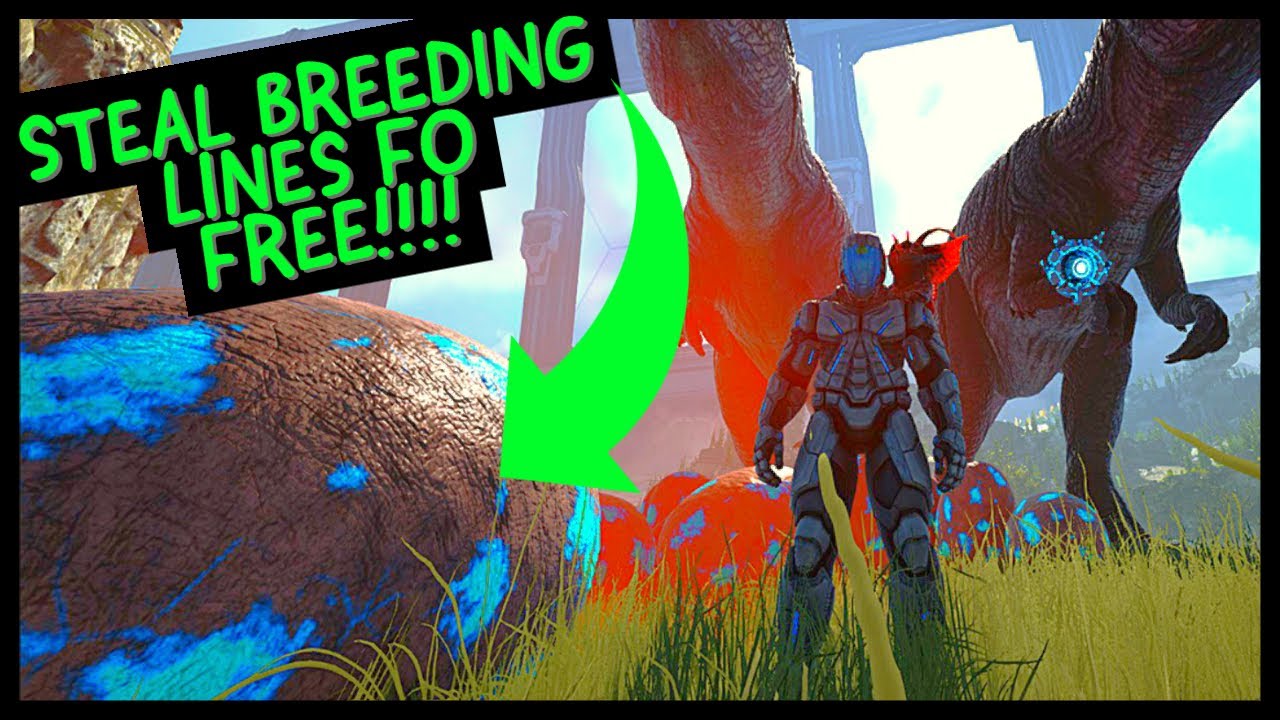 STEAL ANY BREEDING LINE!! NOGLIN SUPER POWERS!!!!!