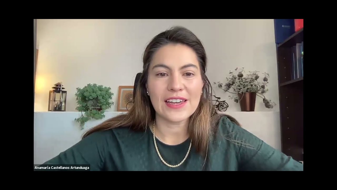Panel de discusión: Decreto Legislativo 806 de 2020