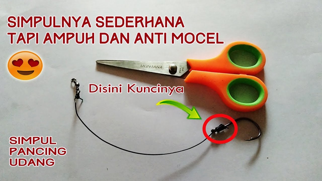 Simpul Pancing Udang Paling Ampuh Anti Mocel