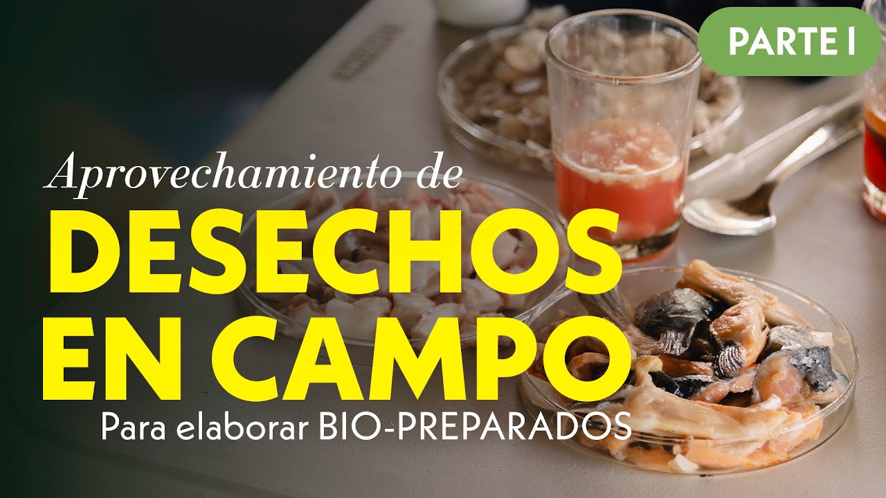 APROVECHAMIENTO DE DESECHOS EN CAMPO (Para elaboración de BIO-PREPARADOS) Parte 1 | Jairo Restrepo 🐮