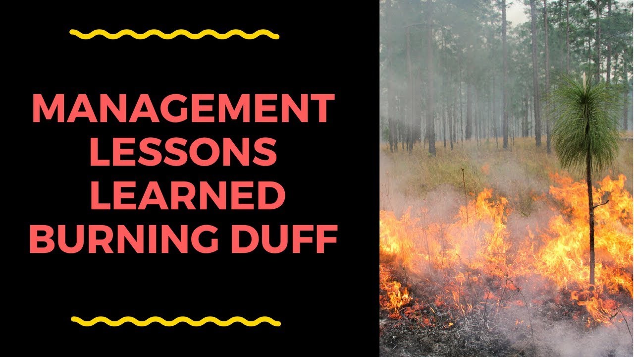 Fire Management Lessons Learned when Burning Duff
