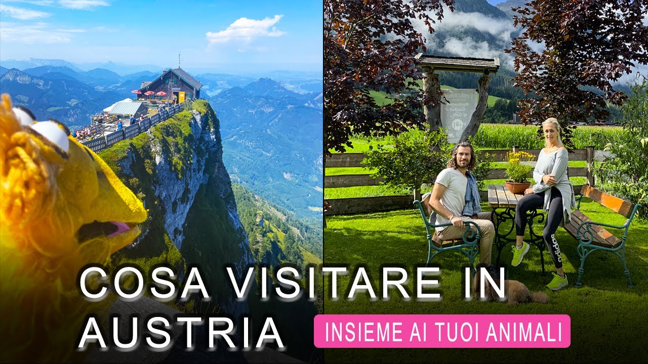 Cosa visitare in Austria, insieme ai tuoi animali! #austria #salisburgo #montagne #cascate
