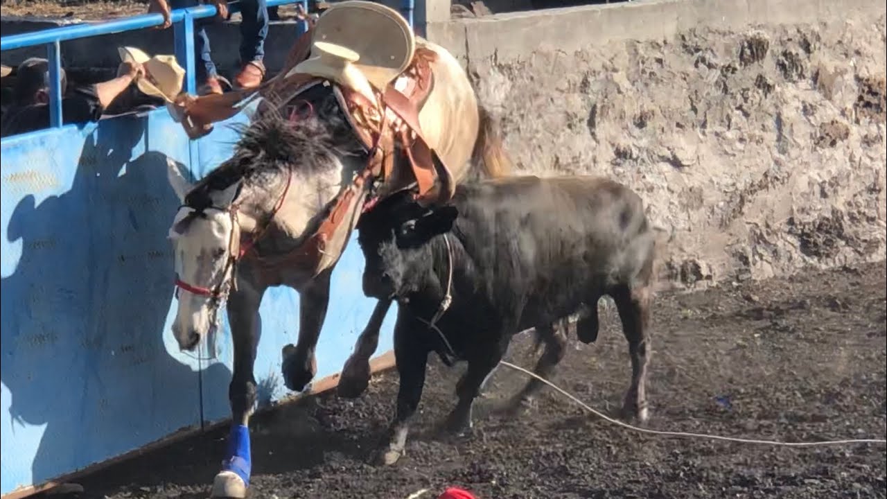 Llegaron 10 Guadalupanos a la Esquina y pusieron en aprietos a los charros.!!