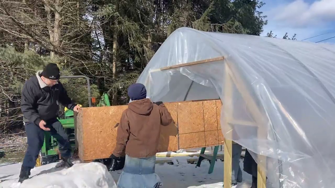 Moving pigs, NEW baby GOATS, putting on greenhouse plastic and 1st batch of meat CHICKS arrive!
