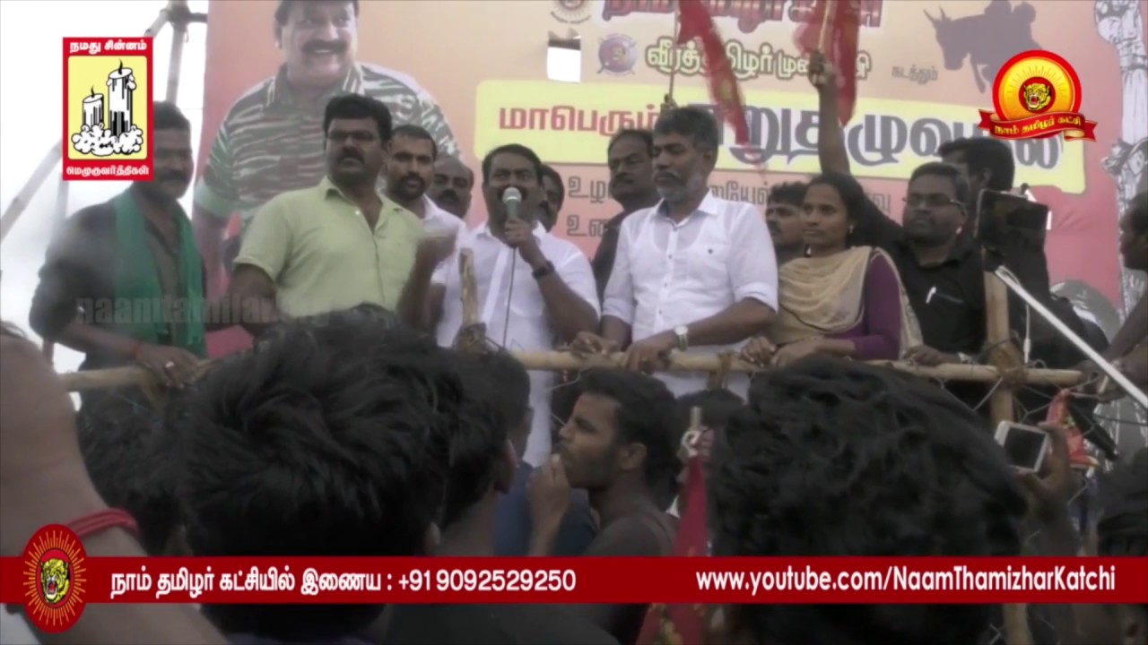 Madurai Jallikattu : Seeman Speech8