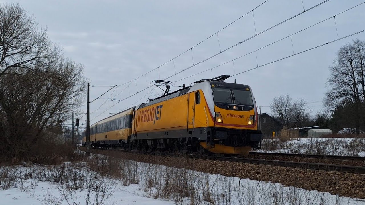 RegioJet, czyli nowy przewoźnik na tej linii | Płochocin 11.02.2026