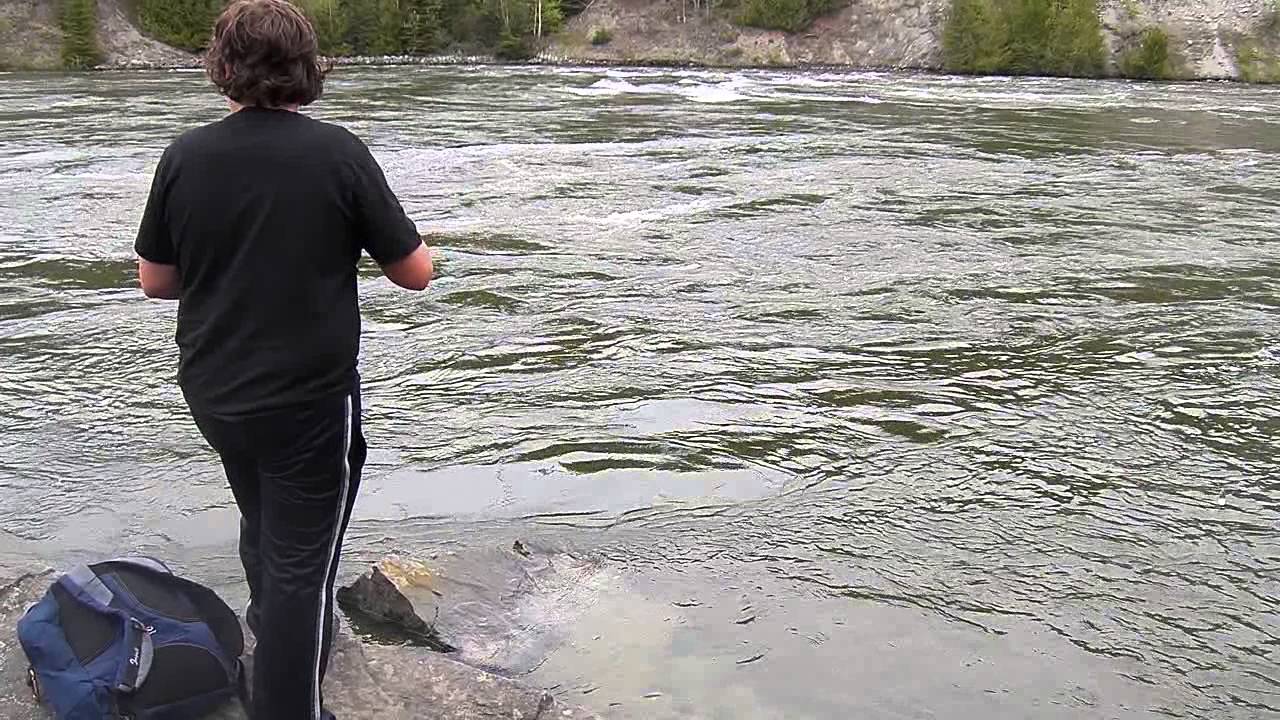 Lake Trout from shore - Nipigon River