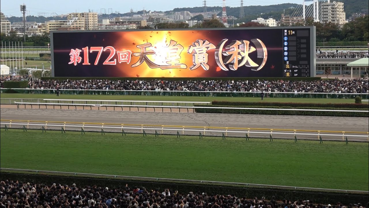 【天皇賞秋2025】レース前のカッコいい煽りV〜ファンファーレ生演奏【現地】