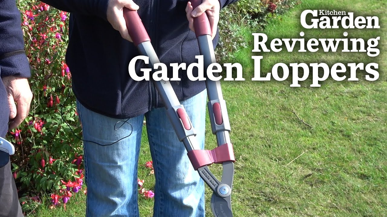 Reviewing Garden Loppers