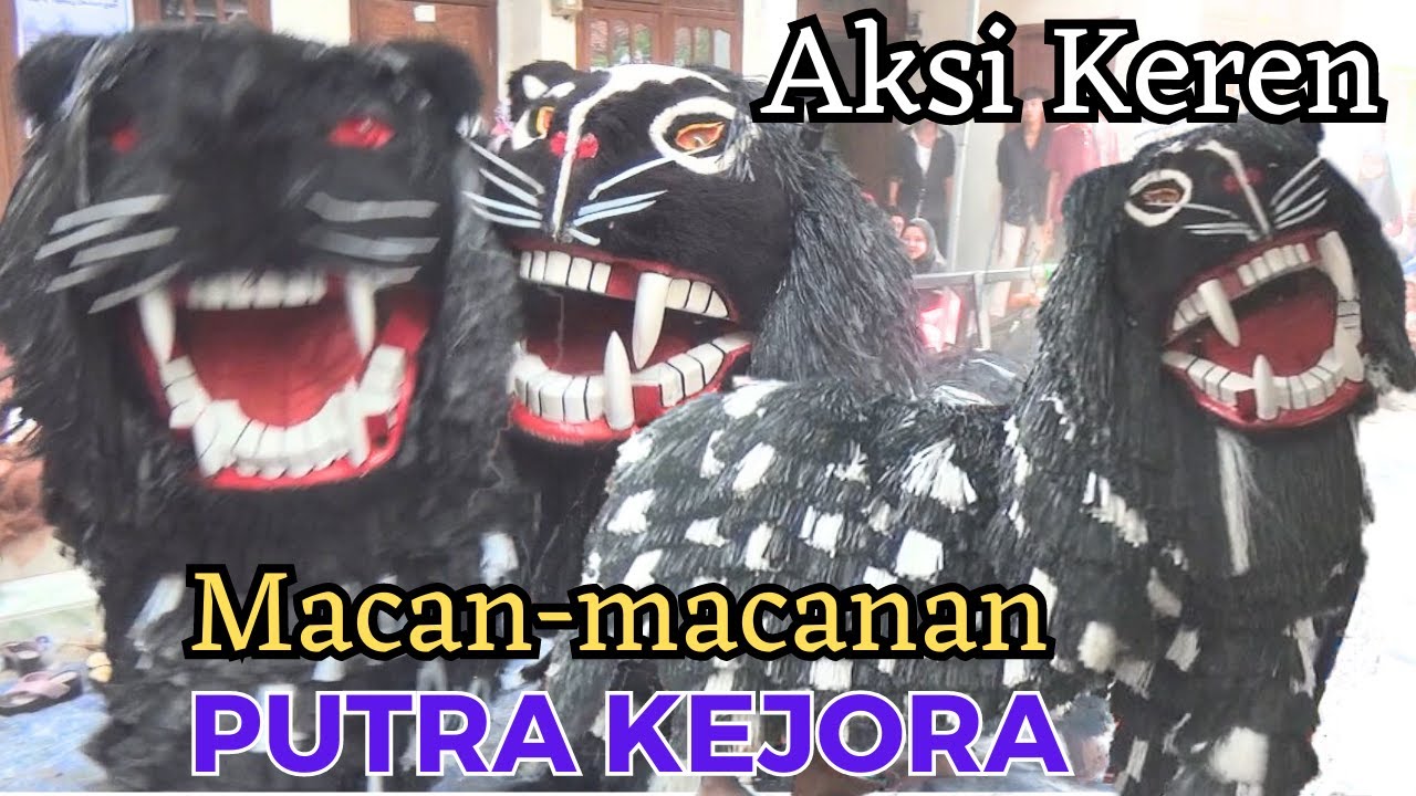 Aksi macan-macanan 🐯 PUTRA KEJORA