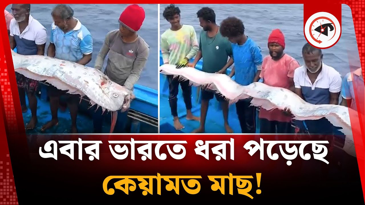 এবার ভারত উপকূলে কেয়ামত মাছ, কীসের ইঙ্গিত? | Doomsday fish | Coast of India | kalbela
