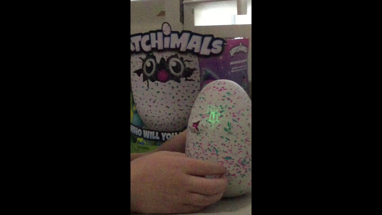 Hatchimal Penguala Unboxing and Hatching!!!
